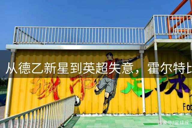 从德乙新星到英超失意，霍尔特比的足球人生