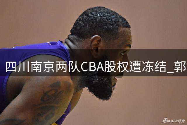 四川南京两队CBA股权遭冻结 郭士强回应封闭集训 赵继伟剖析失利症结