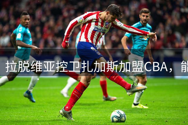 拉脱维亚控卫扎加斯加盟CBA，能否适应中国篮球节奏引热议