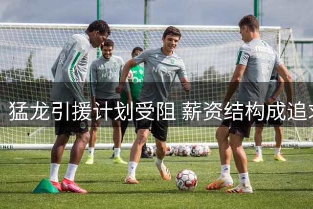 猛龙引援计划受阻 薪资结构成追求霍勒迪最大障碍