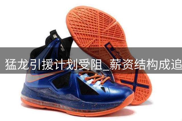 猛龙引援计划受阻 薪资结构成追求霍勒迪最大障碍